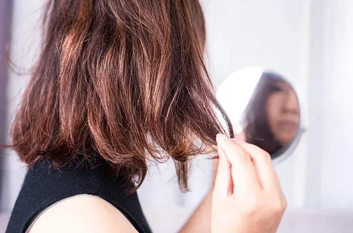 rambut kering