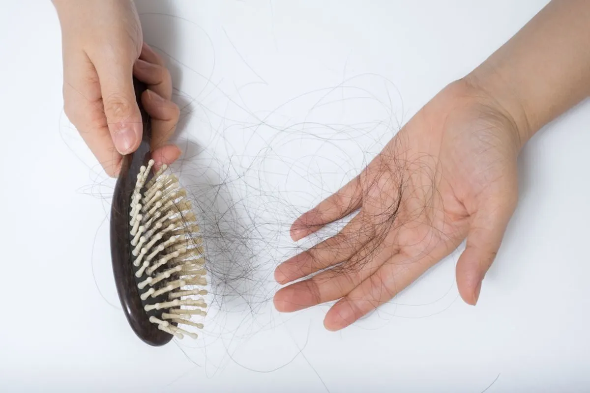 sisir penuh rambut