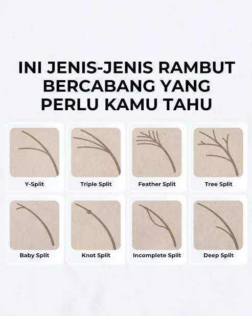 Jangan Timbun Masalah! Kenali Jenis-Jenis Rambut Bercabang dan Cara Mengatasinya